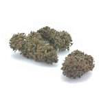 MANGO  HAZE OUTDOOR - THC 0,45 / CBD 15% - immagine 2