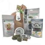 GREEN BOX - immagine 2