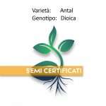 semi certificati di cannabis light antal