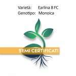 EARLINA 8 FC
