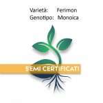 semi certificati cannabis light