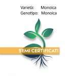 MONOICA