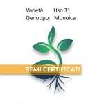 semi certificati di cannabis light uso 31